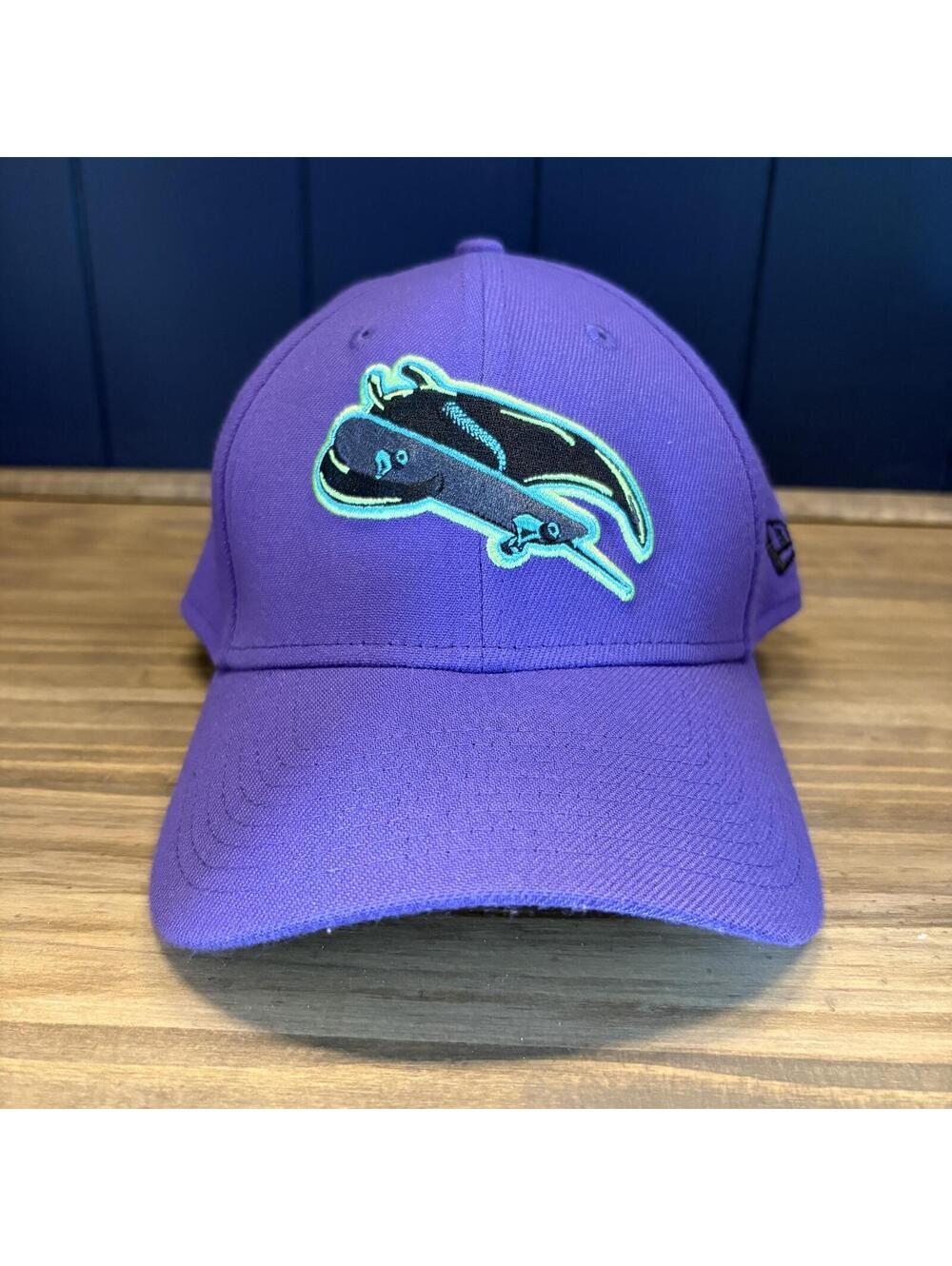 New Era Tampa Bay Rays Alternate City Connect 39Thirty Flex Fit Hat Skate Ray